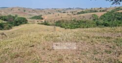 Excelente Fazenda à Venda 417 hectares para Pecuária Ótima Localização | Jacutinga/ MG Excelente Fazenda à Venda 417 hectares para Pecuária Ótima Localização | Jacutinga/ MG