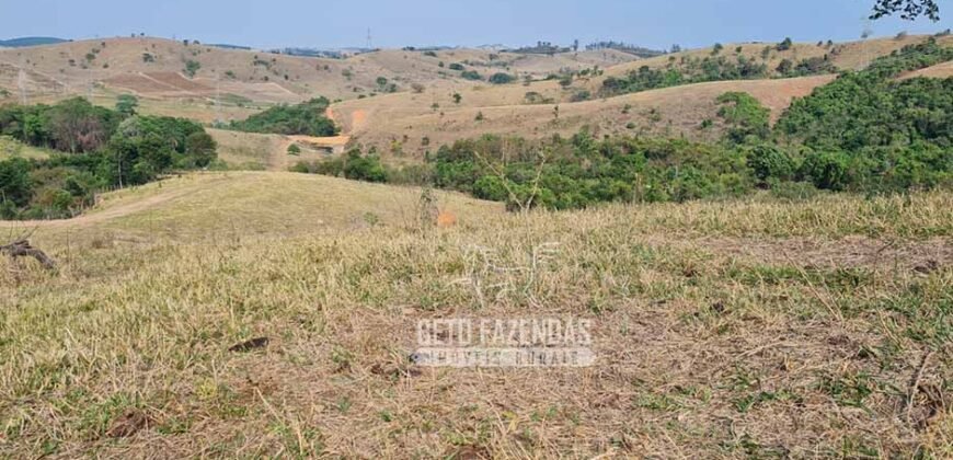 Excelente Fazenda à Venda 417 hectares para Pecuária Ótima Localização | Jacutinga/ MG Excelente Fazenda à Venda 417 hectares para Pecuária Ótima Localização | Jacutinga/ MG