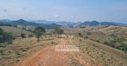 Excelente Fazenda à Venda 417 hectares para Pecuária Ótima Localização | Jacutinga/ MG Excelente Fazenda à Venda 417 hectares para Pecuária Ótima Localização | Jacutinga/ MG