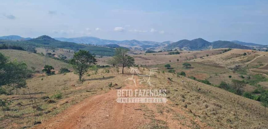 Excelente Fazenda à Venda 417 hectares para Pecuária Ótima Localização | Jacutinga/ MG Excelente Fazenda à Venda 417 hectares para Pecuária Ótima Localização | Jacutinga/ MG