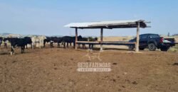 Excelente Fazenda à Venda 417 hectares para Pecuária Ótima Localização | Jacutinga/ MG Excelente Fazenda à Venda 417 hectares para Pecuária Ótima Localização | Jacutinga/ MG