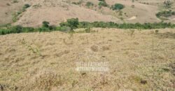 Excelente Fazenda à Venda 417 hectares para Pecuária Ótima Localização | Jacutinga/ MG Excelente Fazenda à Venda 417 hectares para Pecuária Ótima Localização | Jacutinga/ MG