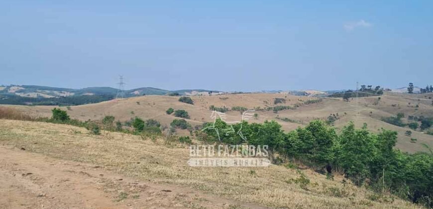 Excelente Fazenda à Venda 417 hectares para Pecuária Ótima Localização | Jacutinga/ MG Excelente Fazenda à Venda 417 hectares para Pecuária Ótima Localização | Jacutinga/ MG