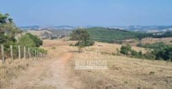 Excelente Fazenda à Venda 417 hectares para Pecuária Ótima Localização | Jacutinga/ MG Excelente Fazenda à Venda 417 hectares para Pecuária Ótima Localização | Jacutinga/ MG