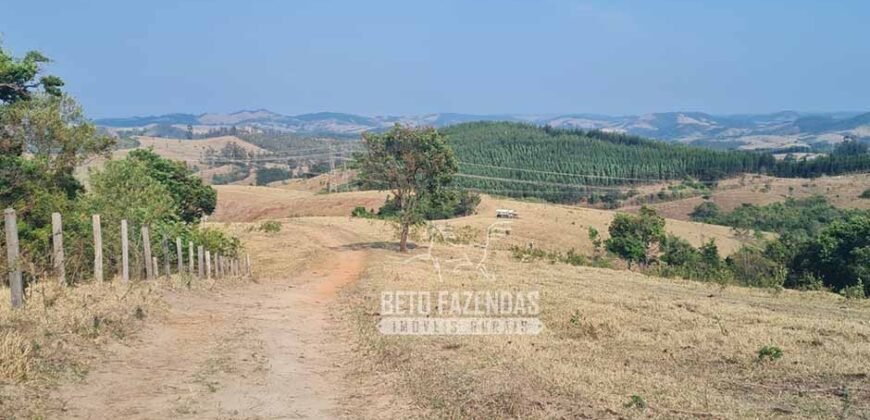 Excelente Fazenda à Venda 417 hectares para Pecuária Ótima Localização | Jacutinga/ MG Excelente Fazenda à Venda 417 hectares para Pecuária Ótima Localização | Jacutinga/ MG