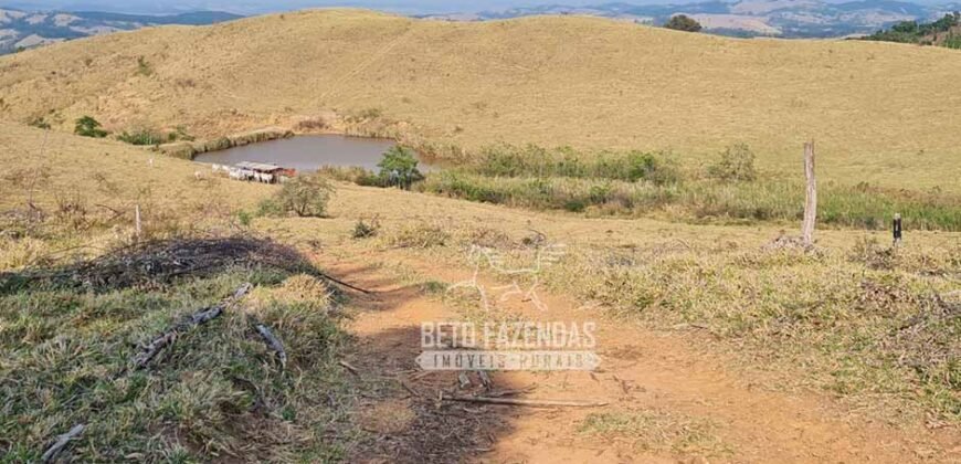 Excelente Fazenda à Venda 417 hectares para Pecuária Ótima Localização | Jacutinga/ MG Excelente Fazenda à Venda 417 hectares para Pecuária Ótima Localização | Jacutinga/ MG