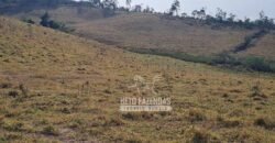 Excelente Fazenda à Venda 417 hectares para Pecuária Ótima Localização | Jacutinga/ MG Excelente Fazenda à Venda 417 hectares para Pecuária Ótima Localização | Jacutinga/ MG