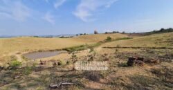 Excelente Fazenda à Venda 417 hectares para Pecuária Ótima Localização | Jacutinga/ MG Excelente Fazenda à Venda 417 hectares para Pecuária Ótima Localização | Jacutinga/ MG