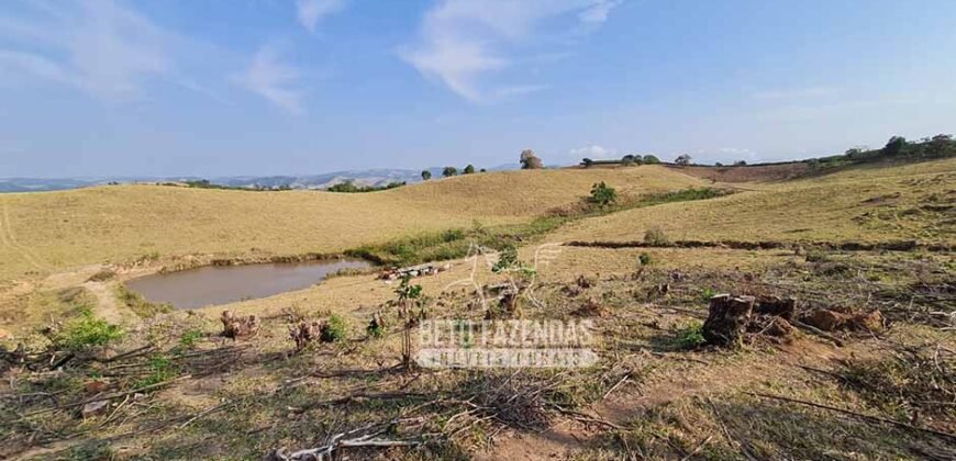 Excelente Fazenda à Venda 417 hectares para Pecuária Ótima Localização | Jacutinga/ MG Excelente Fazenda à Venda 417 hectares para Pecuária Ótima Localização | Jacutinga/ MG