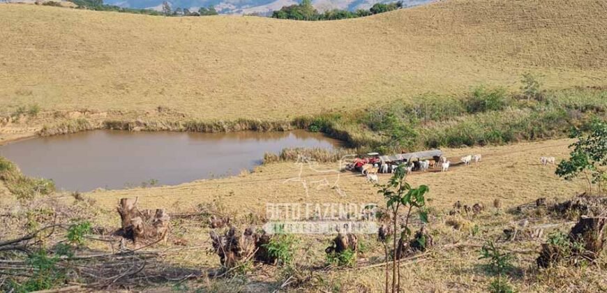 Excelente Fazenda à Venda 417 hectares para Pecuária Ótima Localização | Jacutinga/ MG Excelente Fazenda à Venda 417 hectares para Pecuária Ótima Localização | Jacutinga/ MG