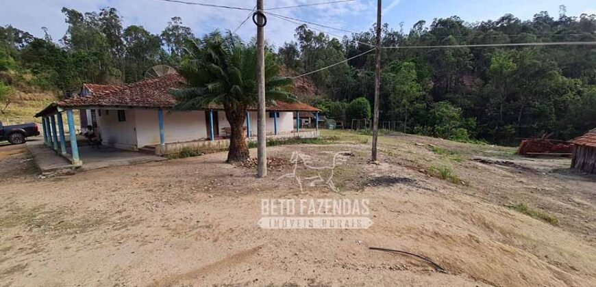 Excelente Fazenda à Venda 417 hectares para Pecuária Ótima Localização | Jacutinga/ MG Excelente Fazenda à Venda 417 hectares para Pecuária Ótima Localização | Jacutinga/ MG