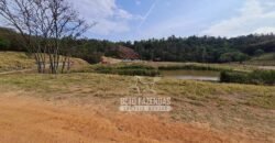 Excelente Fazenda à Venda 417 hectares para Pecuária Ótima Localização | Jacutinga/ MG Excelente Fazenda à Venda 417 hectares para Pecuária Ótima Localização | Jacutinga/ MG