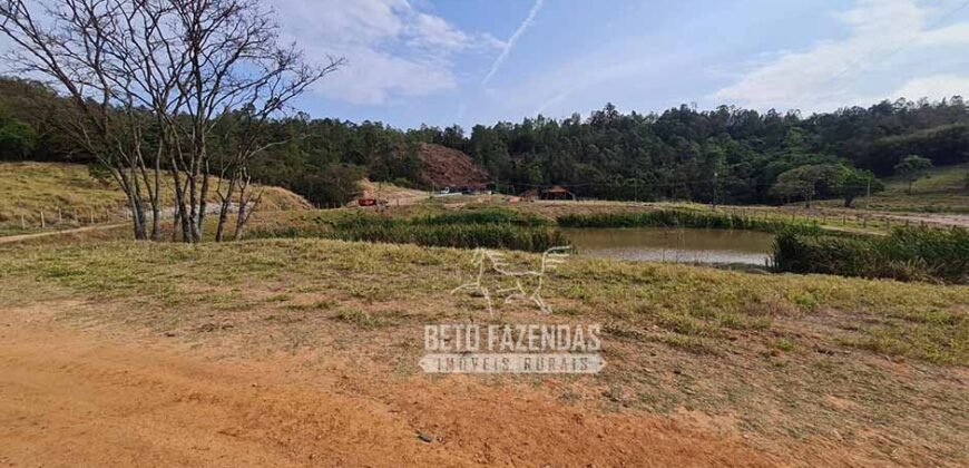 Excelente Fazenda à Venda 417 hectares para Pecuária Ótima Localização | Jacutinga/ MG Excelente Fazenda à Venda 417 hectares para Pecuária Ótima Localização | Jacutinga/ MG