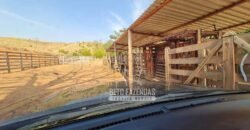 Excelente Fazenda à Venda 417 hectares para Pecuária Ótima Localização | Jacutinga/ MG Excelente Fazenda à Venda 417 hectares para Pecuária Ótima Localização | Jacutinga/ MG