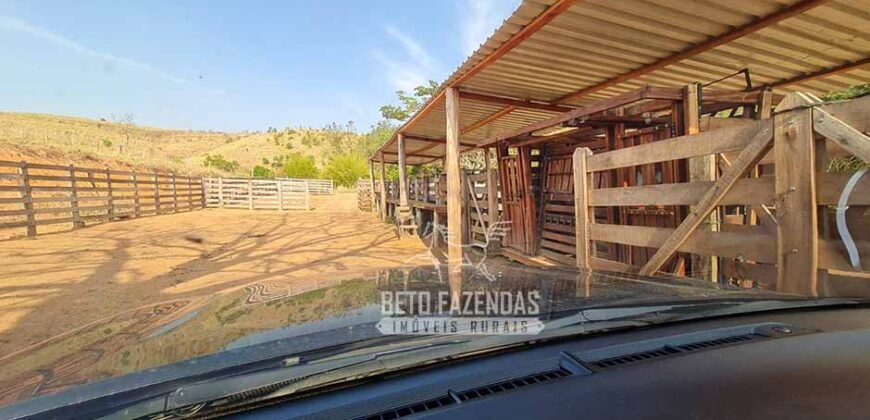 Excelente Fazenda à Venda 417 hectares para Pecuária Ótima Localização | Jacutinga/ MG Excelente Fazenda à Venda 417 hectares para Pecuária Ótima Localização | Jacutinga/ MG