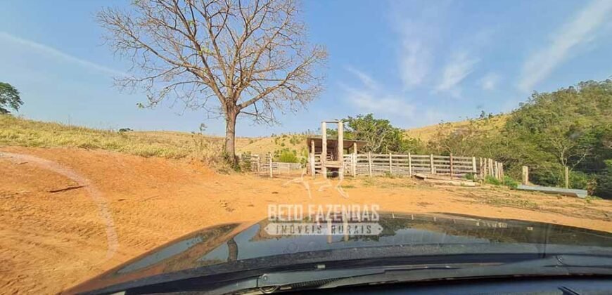 Excelente Fazenda à Venda 417 hectares para Pecuária Ótima Localização | Jacutinga/ MG Excelente Fazenda à Venda 417 hectares para Pecuária Ótima Localização | Jacutinga/ MG