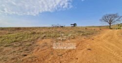 Excelente Fazenda à Venda 417 hectares para Pecuária Ótima Localização | Jacutinga/ MG Excelente Fazenda à Venda 417 hectares para Pecuária Ótima Localização | Jacutinga/ MG