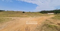 Excelente Fazenda à Venda 417 hectares para Pecuária Ótima Localização | Jacutinga/ MG Excelente Fazenda à Venda 417 hectares para Pecuária Ótima Localização | Jacutinga/ MG