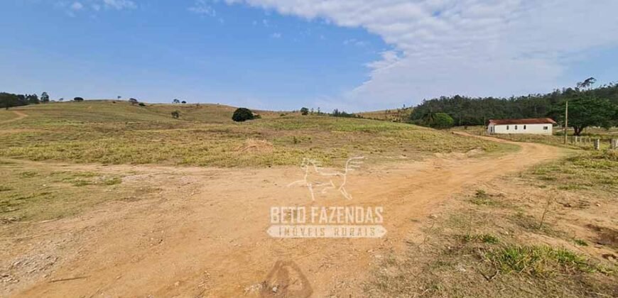Excelente Fazenda à Venda 417 hectares para Pecuária Ótima Localização | Jacutinga/ MG Excelente Fazenda à Venda 417 hectares para Pecuária Ótima Localização | Jacutinga/ MG