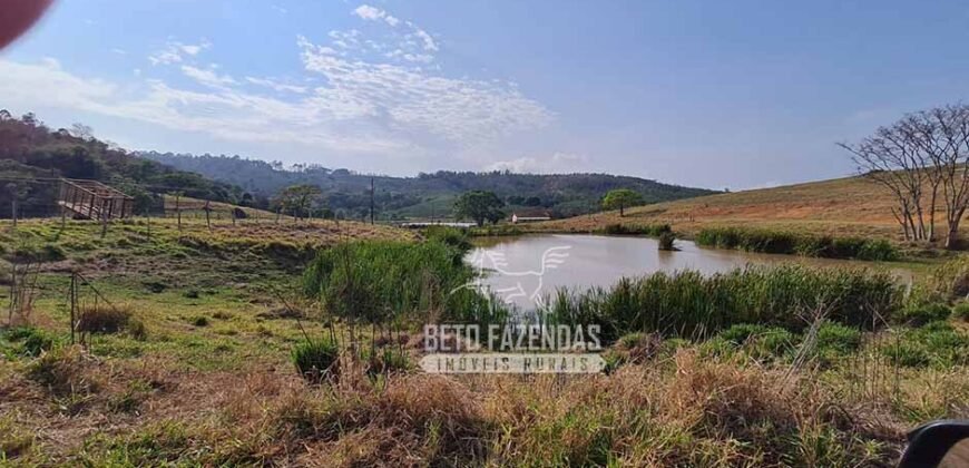 Excelente Fazenda à Venda 417 hectares para Pecuária Ótima Localização | Jacutinga/ MG Excelente Fazenda à Venda 417 hectares para Pecuária Ótima Localização | Jacutinga/ MG