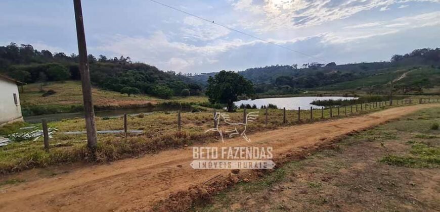 Excelente Fazenda à Venda 417 hectares para Pecuária Ótima Localização | Jacutinga/ MG Excelente Fazenda à Venda 417 hectares para Pecuária Ótima Localização | Jacutinga/ MG