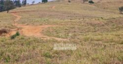 Excelente Fazenda à Venda 417 hectares para Pecuária Ótima Localização | Jacutinga/ MG Excelente Fazenda à Venda 417 hectares para Pecuária Ótima Localização | Jacutinga/ MG