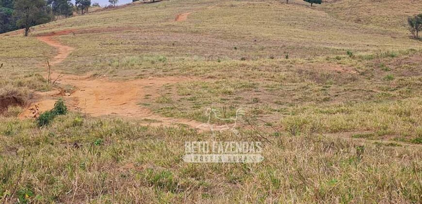 Excelente Fazenda à Venda 417 hectares para Pecuária Ótima Localização | Jacutinga/ MG Excelente Fazenda à Venda 417 hectares para Pecuária Ótima Localização | Jacutinga/ MG