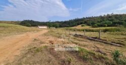 Excelente Fazenda à Venda 417 hectares para Pecuária Ótima Localização | Jacutinga/ MG Excelente Fazenda à Venda 417 hectares para Pecuária Ótima Localização | Jacutinga/ MG