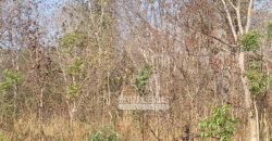 Fazenda 1.378 hectares Ideal para Eucalipto Todos Doc Geo CAR | São Romão/ MG