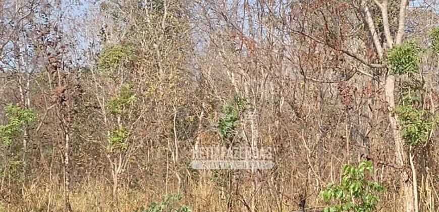 Fazenda 1.378 hectares Ideal para Eucalipto Todos Doc Geo CAR | São Romão/ MG