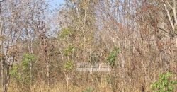 Fazenda 1.378 hectares Ideal para Eucalipto Todos Doc Geo CAR | São Romão/ MG