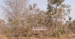 Fazenda 1.378 hectares Ideal para Eucalipto Todos Doc Geo CAR | São Romão/ MG