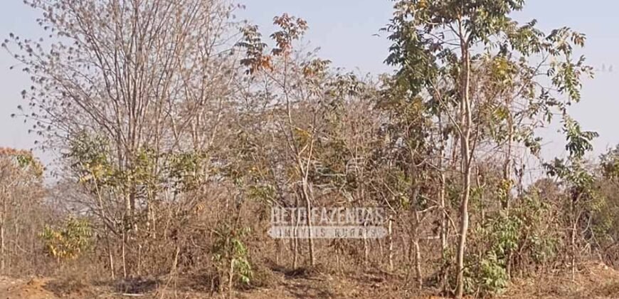 Fazenda 1.378 hectares Ideal para Eucalipto Todos Doc Geo CAR | São Romão/ MG