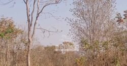 Fazenda 1.378 hectares Ideal para Eucalipto Todos Doc Geo CAR | São Romão/ MG