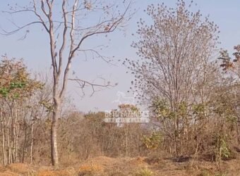 Fazenda 1.378 hectares Ideal para Eucalipto Todos Doc Geo CAR | São Romão/ MG