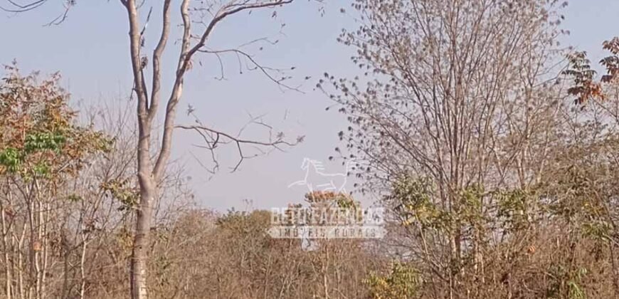 Fazenda 1.378 hectares Ideal para Eucalipto Todos Doc Geo CAR | São Romão/ MG