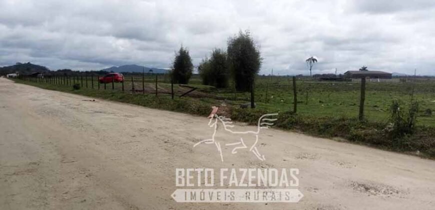 Excelente Fazenda à Venda 153 alqueires Agronegócio Lavoura e Pecuária | Iguape/ SP Excelente Fazenda à Venda 153 alqueires Agronegócio Lavoura e Pecuária | Iguape/ SP