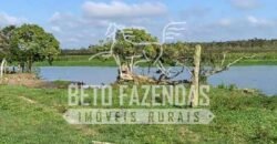 Excelente Fazenda à Venda 153 alqueires Agronegócio Lavoura e Pecuária | Iguape/ SP Excelente Fazenda à Venda 153 alqueires Agronegócio Lavoura e Pecuária | Iguape/ SP