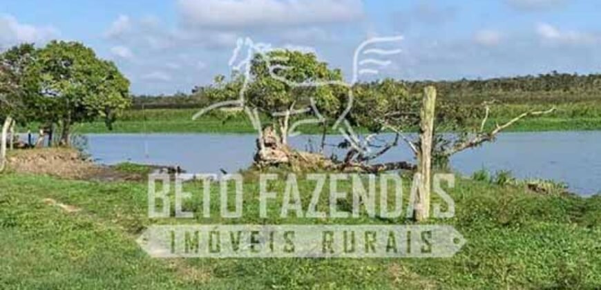 Excelente Fazenda à Venda 153 alqueires Agronegócio Lavoura e Pecuária | Iguape/ SP Excelente Fazenda à Venda 153 alqueires Agronegócio Lavoura e Pecuária | Iguape/ SP