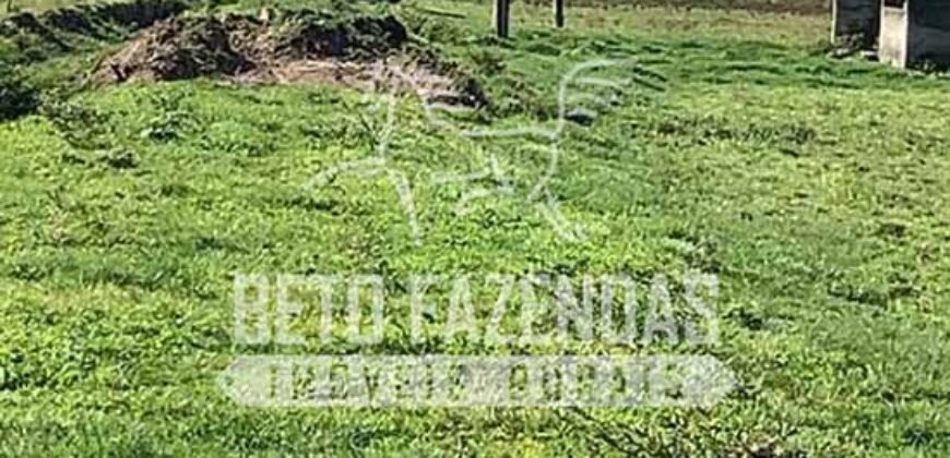 Excelente Fazenda à Venda 153 alqueires Agronegócio Lavoura e Pecuária | Iguape/ SP Excelente Fazenda à Venda 153 alqueires Agronegócio Lavoura e Pecuária | Iguape/ SP