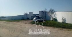 Excelente Fazenda à Venda 153 alqueires Agronegócio Lavoura e Pecuária | Iguape/ SP Excelente Fazenda à Venda 153 alqueires Agronegócio Lavoura e Pecuária | Iguape/ SP