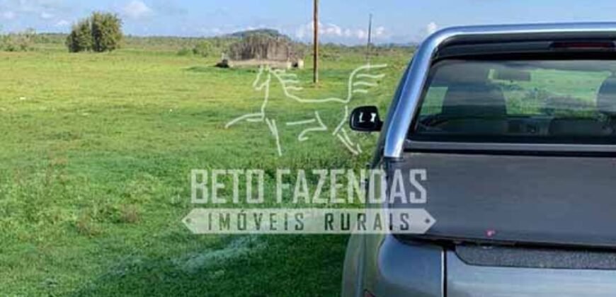 Excelente Fazenda à Venda 153 alqueires Agronegócio Lavoura e Pecuária | Iguape/ SP Excelente Fazenda à Venda 153 alqueires Agronegócio Lavoura e Pecuária | Iguape/ SP