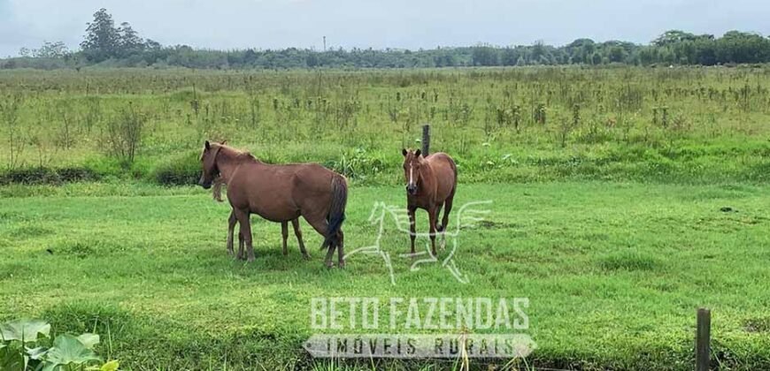 Excelente Fazenda à Venda 153 alqueires Agronegócio Lavoura e Pecuária | Iguape/ SP Excelente Fazenda à Venda 153 alqueires Agronegócio Lavoura e Pecuária | Iguape/ SP