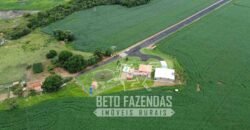 Fazenda à Venda 22 Alqueires de Café em Produção | São José da Barra/ MG!