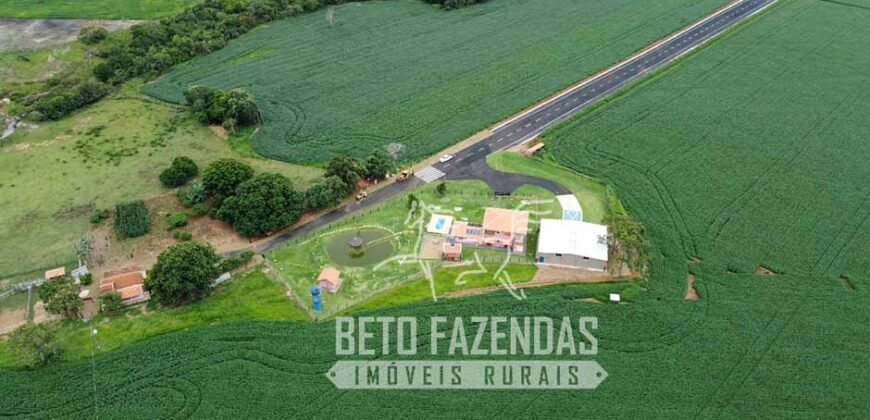 Fazenda à Venda 22 Alqueires de Café em Produção | São José da Barra/ MG!