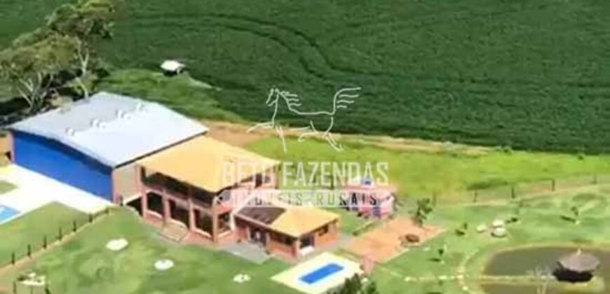 Fazenda à Venda 22 Alqueires de Café em Produção | São José da Barra/ MG!