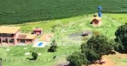 Fazenda à Venda 22 Alqueires de Café em Produção | São José da Barra/ MG!