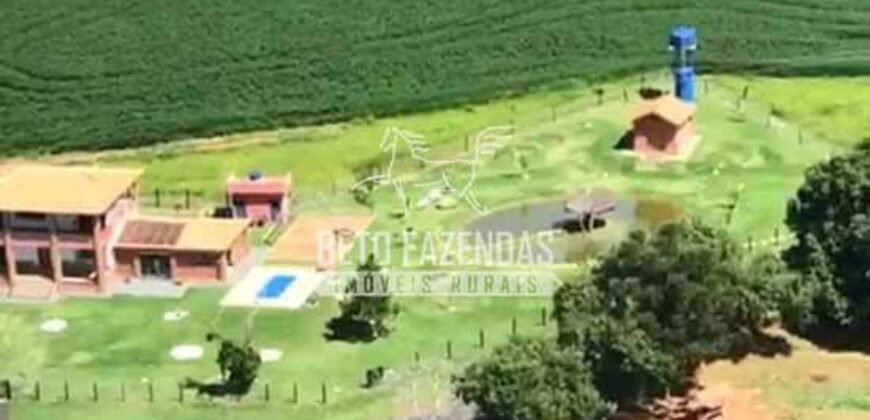 Fazenda à Venda 22 Alqueires de Café em Produção | São José da Barra/ MG!