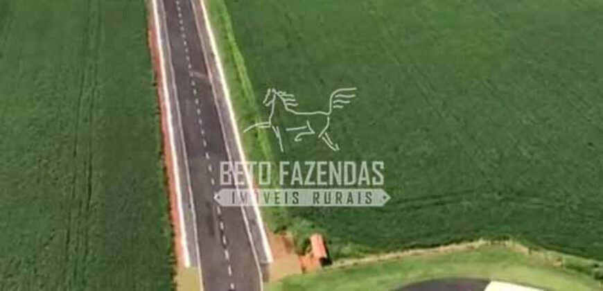 Fazenda à Venda 22 Alqueires de Café em Produção | São José da Barra/ MG!