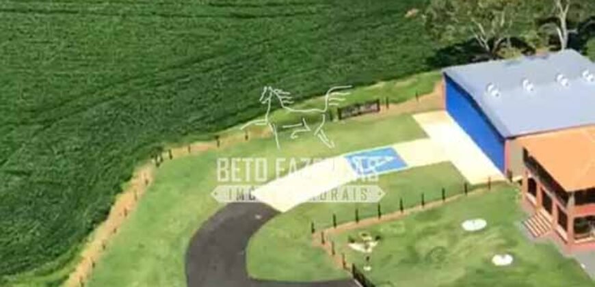 Fazenda à Venda 22 Alqueires de Café em Produção | São José da Barra/ MG!